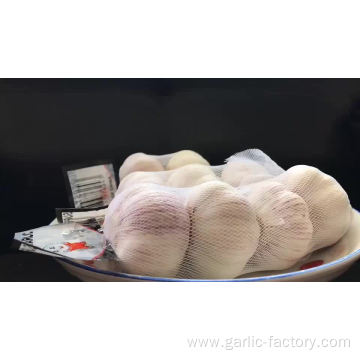 New crop garlic fresh garlic price